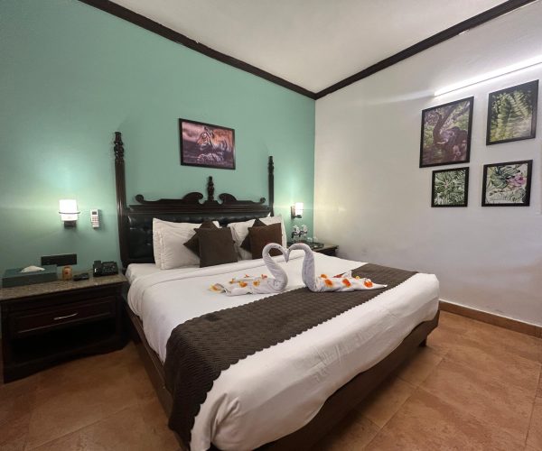 WhatsApp Image 2026-03-10 at 10.34.10 AM (1)